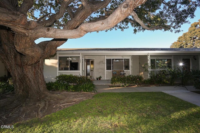 view of front of house with a front yard and stucco siding