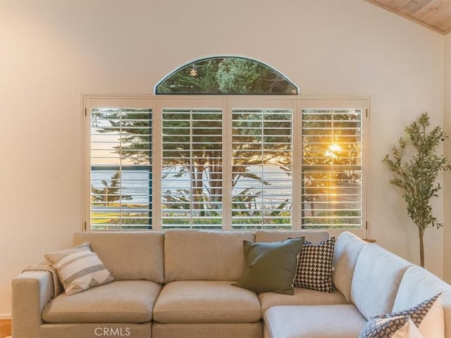 living area featuring vaulted ceiling