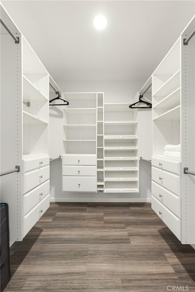 spacious closet with dark wood-type flooring