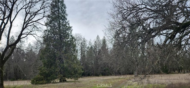 view of landscape with a wooded view