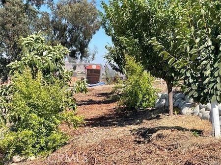 12493 Presilla Rd, Camarillo, CA 93012 - photo 22