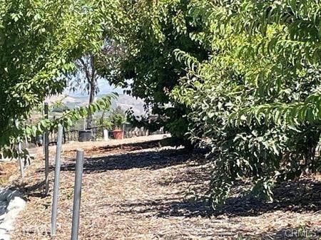 12493 Presilla Rd, Camarillo, CA 93012 - photo 20