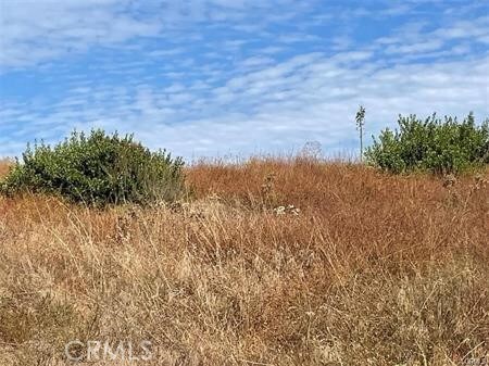 12493 Presilla Rd, Camarillo, CA 93012 - photo 41