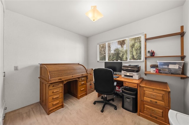 home office with light carpet