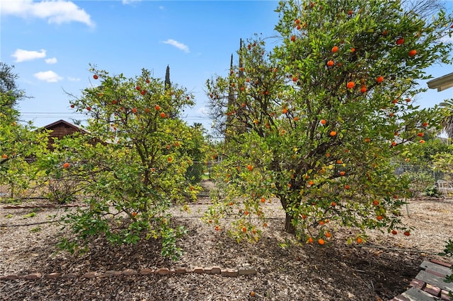 view of nature