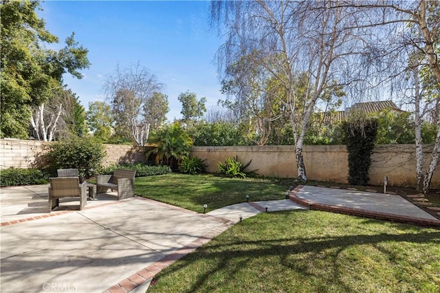 view of yard featuring a fenced backyard and a patio