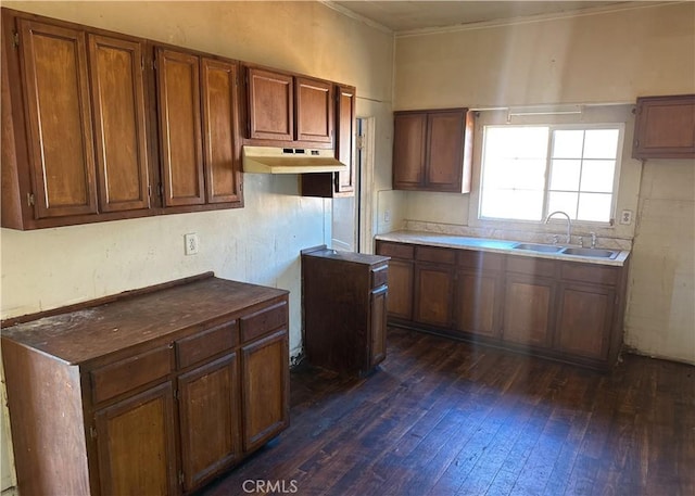 kitchen with dark wood-style floors, a sink, and under cabinet range hood