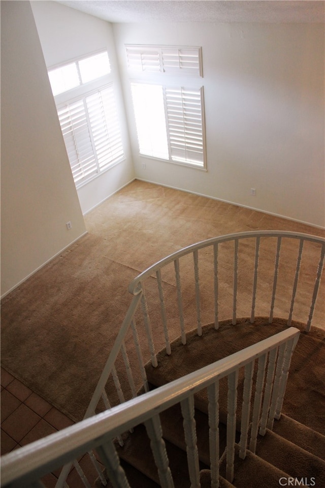 stairway with carpet