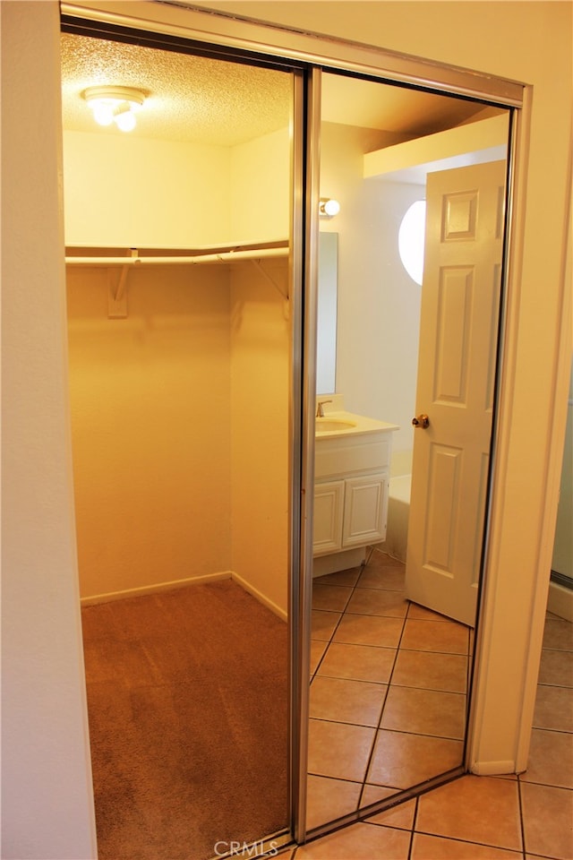 closet featuring a sink