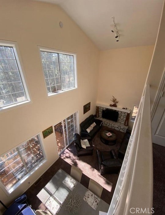 living area with vaulted ceiling and track lighting