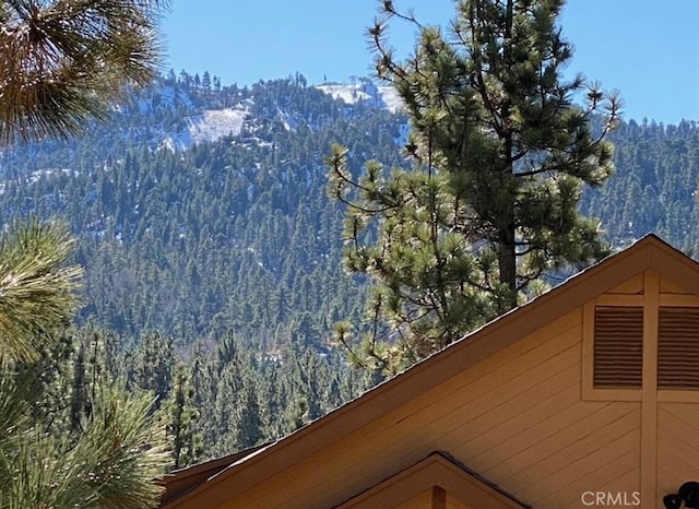 mountain view with a forest view