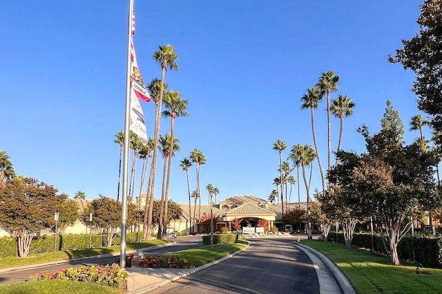 view of street featuring curbs