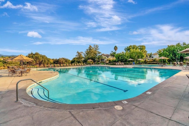 pool with a patio area