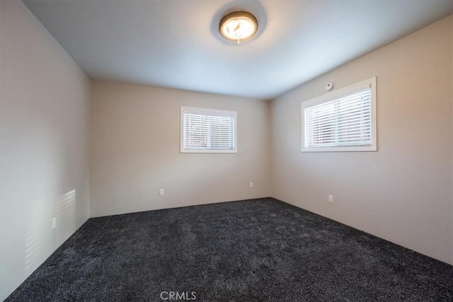 unfurnished room featuring carpet and a healthy amount of sunlight