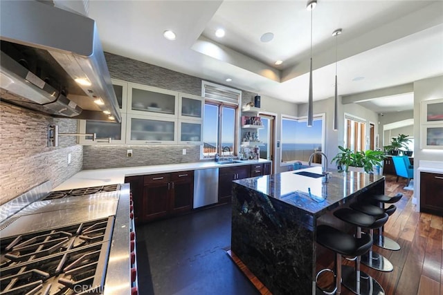 kitchen featuring stainless steel appliances, exhaust hood, a tray ceiling, an island with sink, and glass insert cabinets