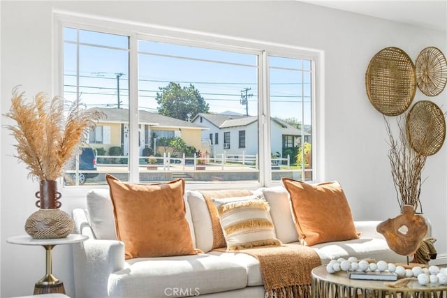 living room with a wealth of natural light