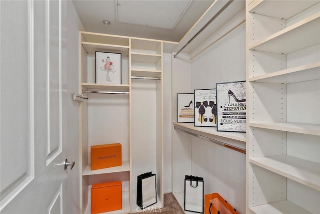 1703 Solvay Aisle Unit 106, Irvine, CA 92606 - view of spacious closet