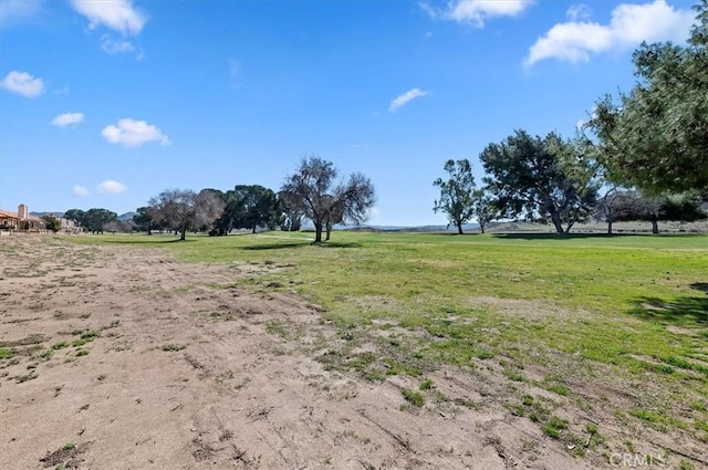 view of yard featuring a rural view