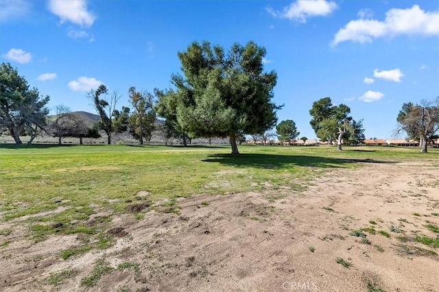 view of community with a yard