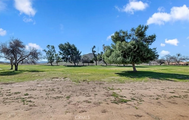 view of community featuring a lawn