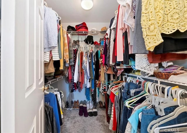 spacious closet with carpet