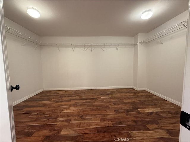 spacious closet featuring dark wood-style floors