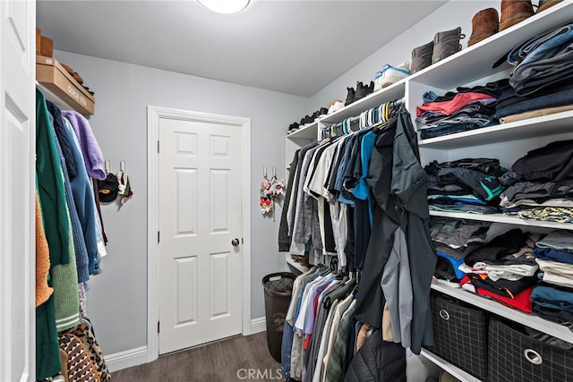 walk in closet featuring dark wood-style floors