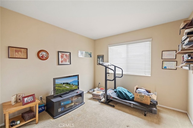 exercise area featuring carpet flooring and baseboards