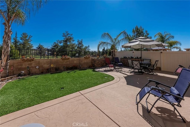 view of yard with a fenced backyard and a patio