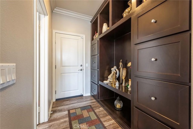 mudroom featuring ornamental molding and dark wood-style flooring