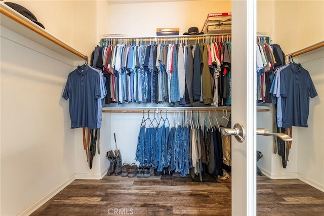 spacious closet with dark wood-type flooring