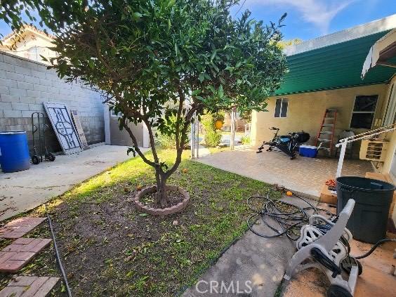 view of yard with a patio area