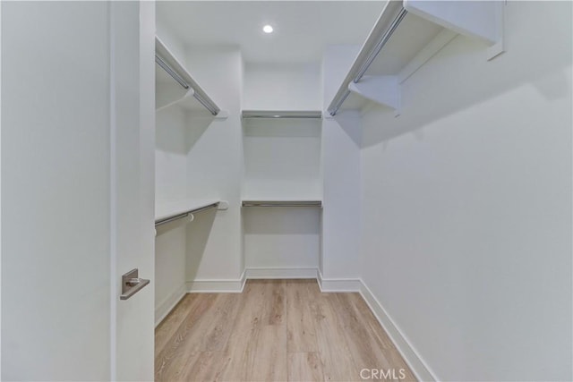 walk in closet with light wood-style floors