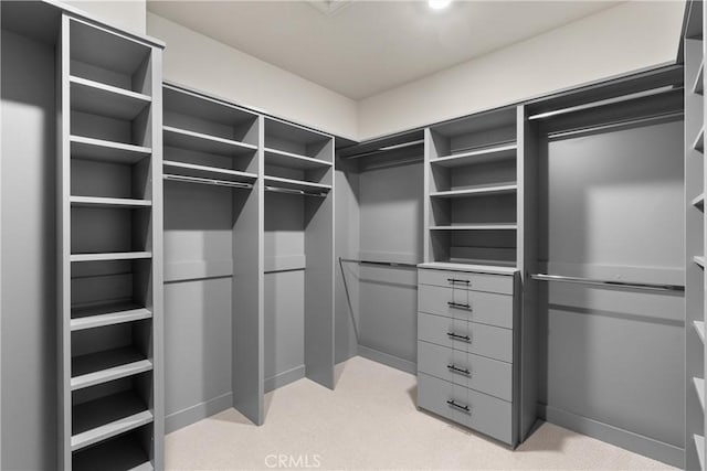 walk in closet with light carpet