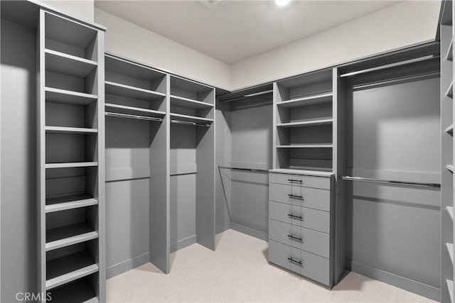 spacious closet with light carpet