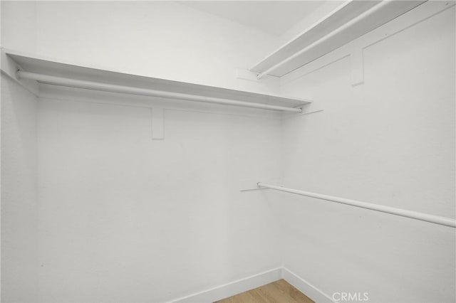 spacious closet featuring light wood finished floors