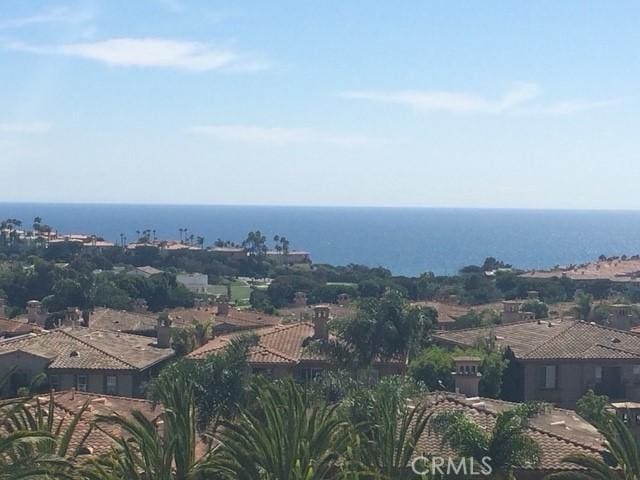 60 Corniche Dr Unit C, Dana Point, CA 92629 - water view