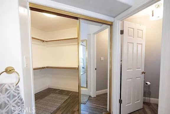 spacious closet featuring dark wood-style flooring