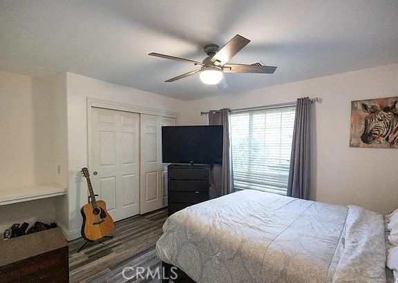 bedroom featuring dark wood-type flooring, a closet, and a ceiling fan