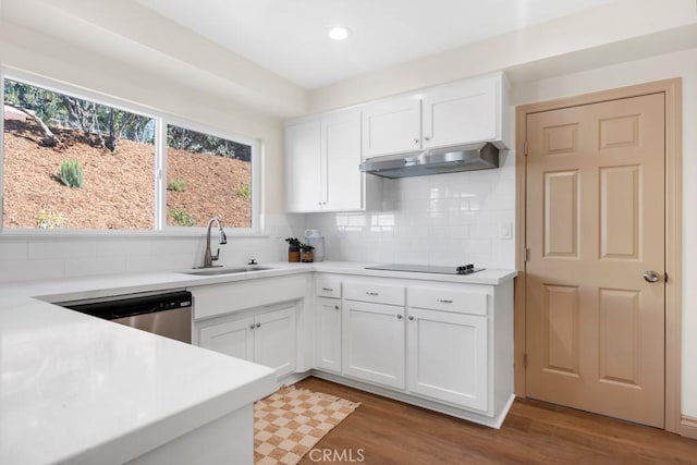 kitchen featuring light countertops, a sink, under cabinet range hood, and white cabinetry