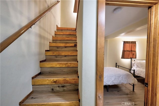 staircase with wood finished floors