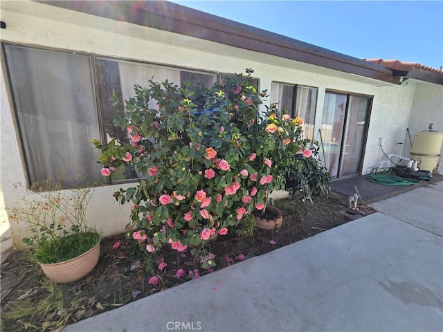 view of side of property with a patio and stucco siding