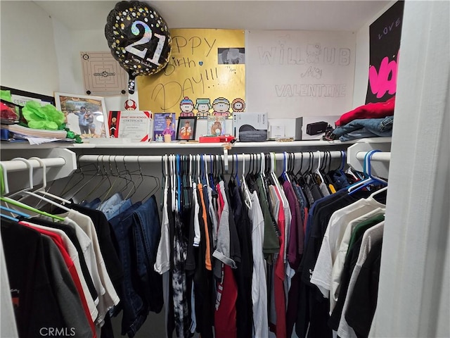 view of walk in closet