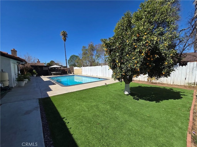 view of swimming pool with a fenced in pool, a fenced backyard, a yard, and a patio