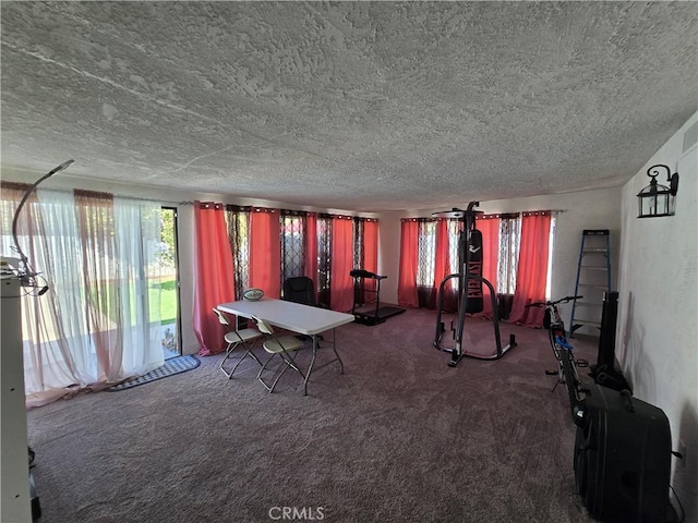 workout area with a textured ceiling and carpet flooring