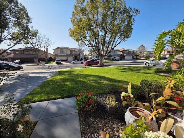 view of yard with a residential view