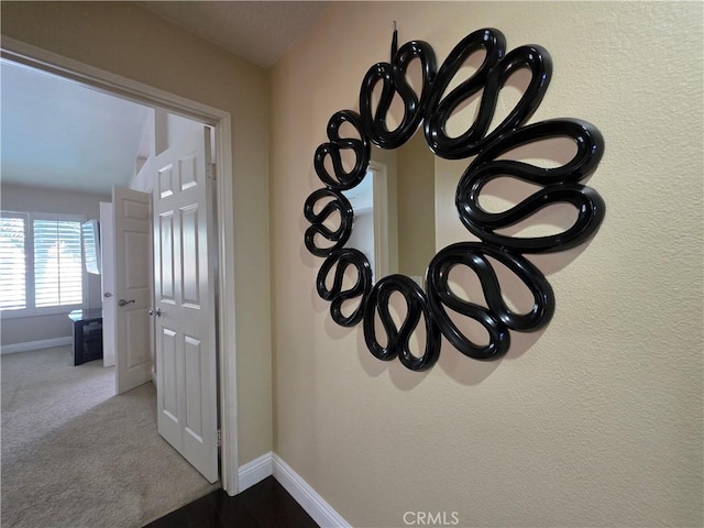 interior details featuring baseboards and carpet flooring