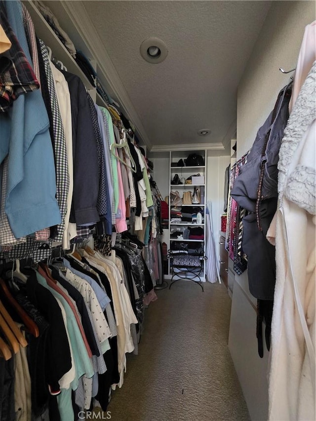 walk in closet with carpet flooring