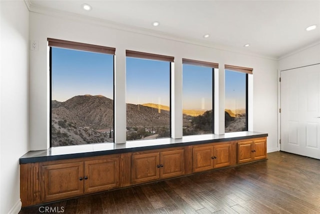 interior space with ornamental molding, plenty of natural light, dark wood finished floors, and a mountain view