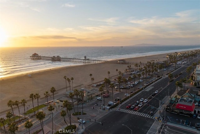 bird's eye view with a water view and a view of the beach